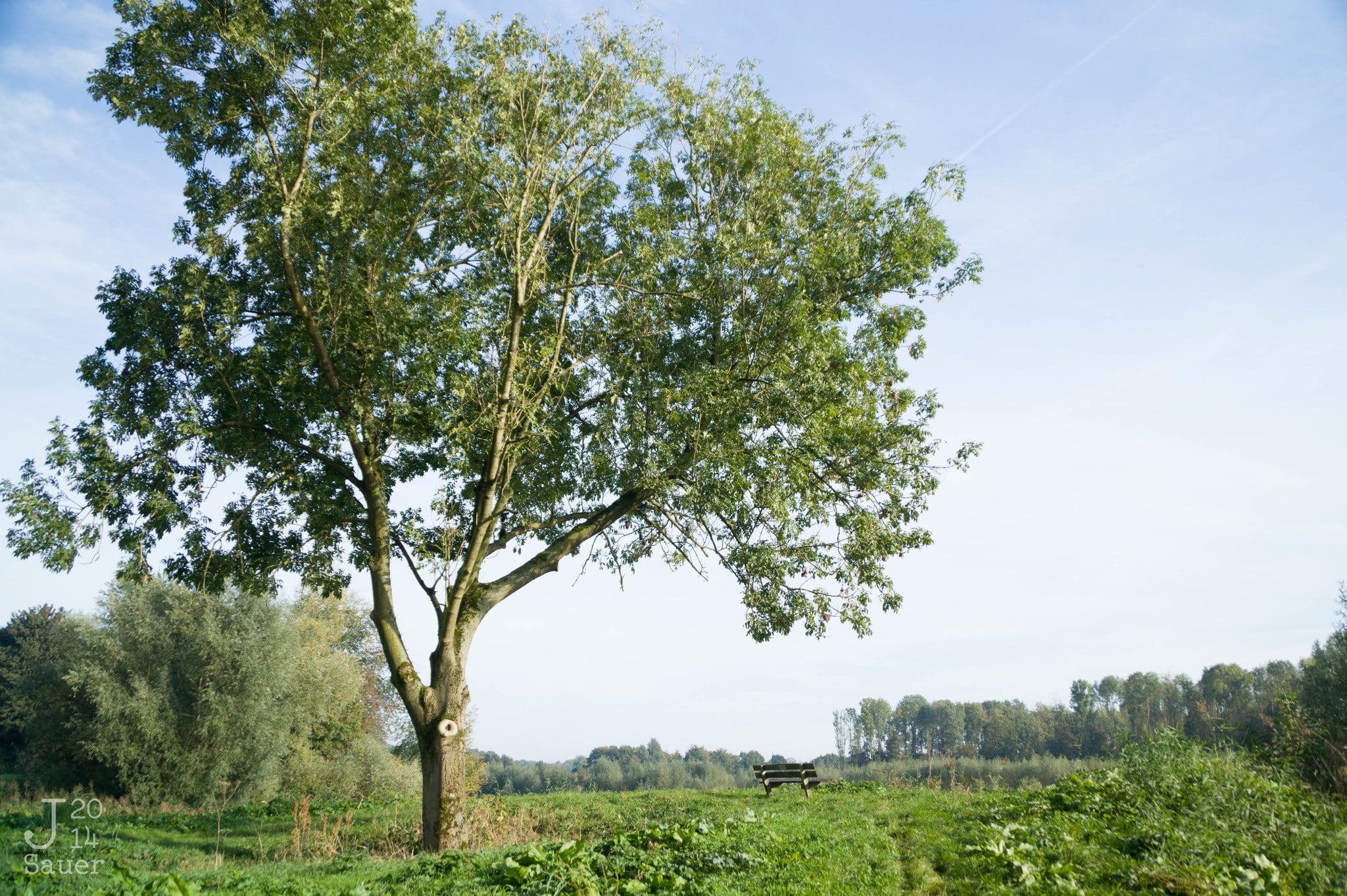 Hillside in het Wisentbos te Dronten