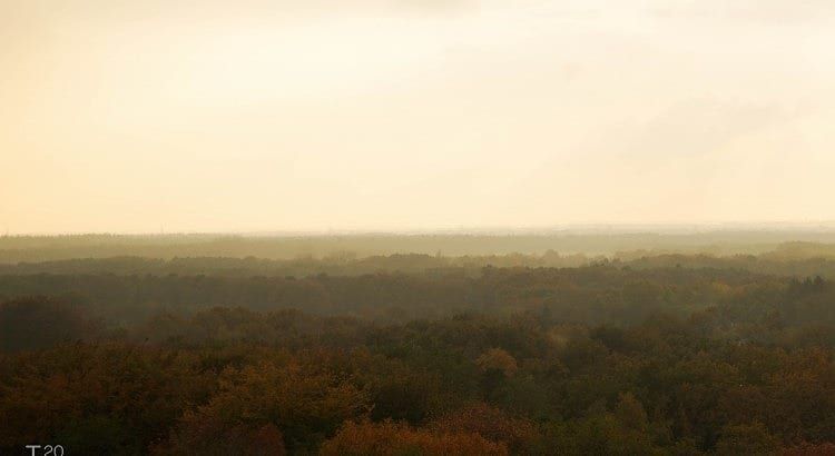 Autumn landscape