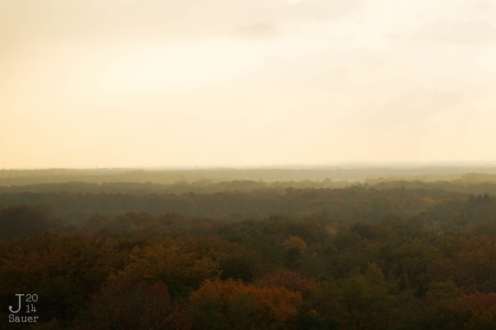 Autumn landscape