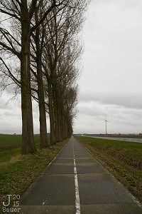 Stormachtig fietspad