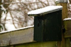 Besneeuwd vogelhuisje