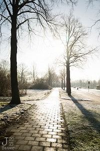 Winter sun reflects on the street