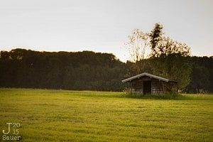 Small cabin in the golden hour