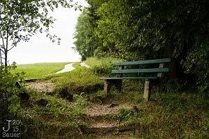 Green bench