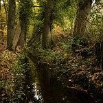 Landgoed Staverden Ermelo herfst