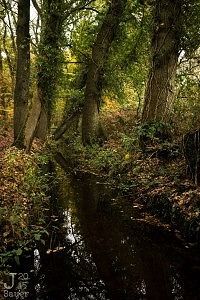 Landgoed Staverden Ermelo herfst