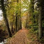 Landgoed Staverden Ermelo herfst