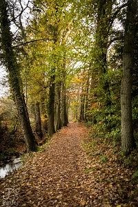 Landgoed Staverden Ermelo herfst