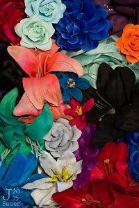Bloemen met Colorchecker