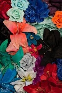 Bloemen zonder Colorchecker