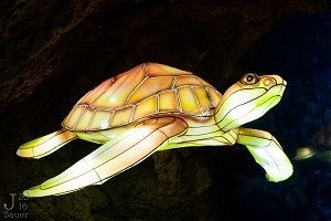 Lichtgevende schildpad