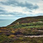 Howth Cliff Path