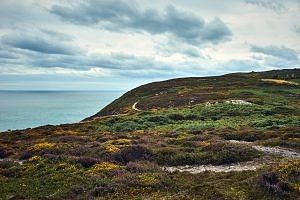 Howth Cliff Path