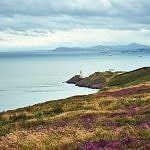 Howth Cliff Path