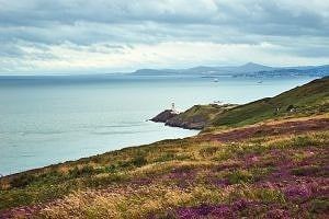 Howth Cliff Path
