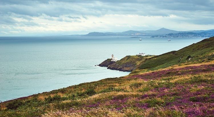 Howth Cliff Path